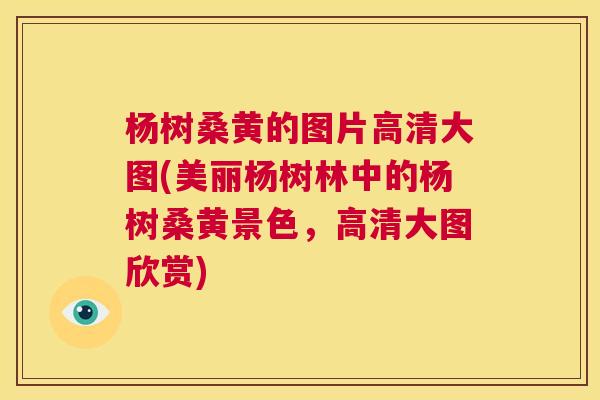 杨树桑黄的图片高清大图(美丽杨树林中的杨树桑黄景色,高清大图欣赏) 杨树桑黄的图片高清大图(美丽杨树林中的杨树桑黄景色,高清大图欣赏)