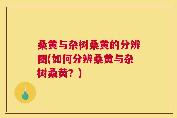 桑黄与杂树桑黄的分辨图(如何分辨桑黄与杂树桑黄?) 桑黄与杂树桑黄的分辨图(如何分辨桑黄与杂树桑黄?)