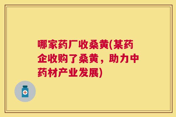 哪家药厂收桑黄(某药企收购了桑黄,助力材产业发展) 哪家药厂收桑黄(某药企收购了桑黄,助力材产业发展)