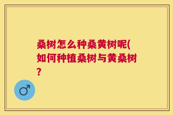 桑树怎么种桑黄树呢(如何种植桑树与黄桑树? 桑树怎么种桑黄树呢(如何种植桑树与黄桑树?