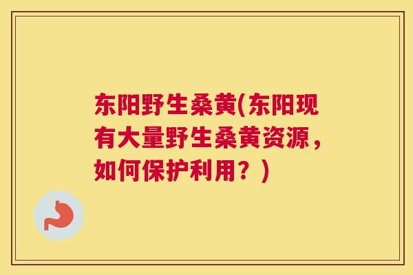 东阳野生桑黄(东阳现有大量野生桑黄资源,如何保护利用?) 东阳野生桑黄(东阳现有大量野生桑黄资源,如何保护利用?)