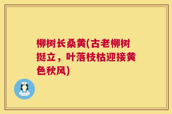 柳树长桑黄(古老柳树挺立,叶落枝枯迎接黄色秋风) 柳树长桑黄(古老柳树挺立,叶落枝枯迎接黄色秋风)
