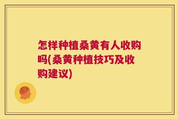 怎样种植桑黄有人收购吗(桑黄种植技巧及收购建议) 怎样种植桑黄有人收购吗(桑黄种植技巧及收购建议)
