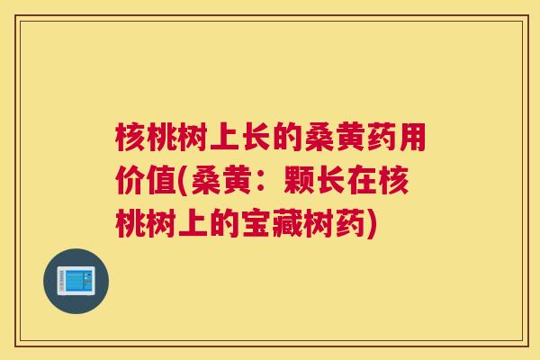 核桃树上长的桑黄药用价值(桑黄:颗长在核桃树上的宝藏树药) 核桃树上长的桑黄药用价值(桑黄:颗长在核桃树上的宝藏树药)