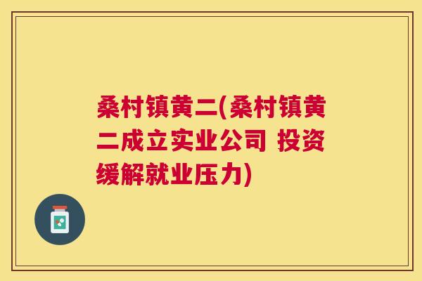 桑村镇黄二(桑村镇黄二成立实业公司 投资缓解就业压力) 桑村镇黄二(桑村镇黄二成立实业公司 投资缓解就业压力)