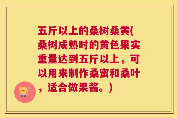 五斤以上的桑树桑黄(桑树成熟时的黄色果实重量达到五斤以上,可以用来制作桑蜜和桑叶,适合做果酱。) 五斤以上的桑树桑黄(桑树成熟时的黄色果实重量达到五斤以上,可以用来制作桑蜜和桑叶,适合做果酱。)