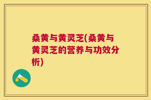 桑黄与黄灵芝(桑黄与黄灵芝的营养与功效分析) 桑黄与黄灵芝(桑黄与黄灵芝的营养与功效分析)