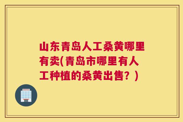 山东青岛人工桑黄哪里有卖(青岛市哪里有人工种植的桑黄出售？)