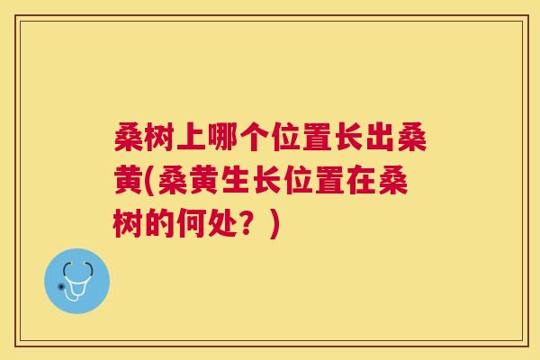 桑树上哪个位置长出桑黄(桑黄生长位置在桑树的何处?) 桑树上哪个位置长出桑黄(桑黄生长位置在桑树的何处?)