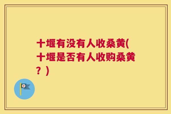 十堰有没有人收桑黄(十堰是否有人收购桑黄?) 十堰有没有人收桑黄(十堰是否有人收购桑黄?)