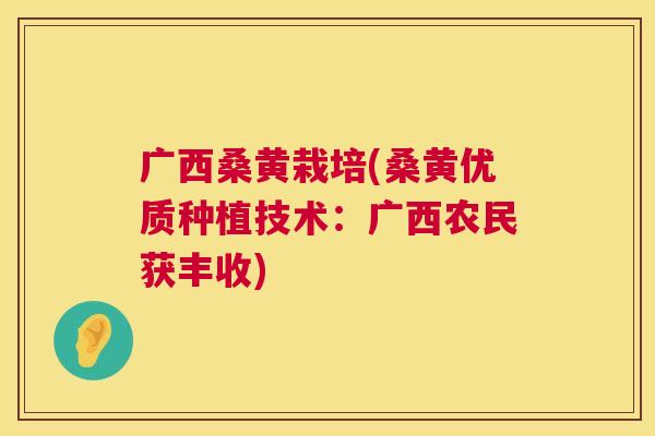 广西桑黄栽培(桑黄优质种植技术:广西农民获丰收) 广西桑黄栽培(桑黄优质种植技术:广西农民获丰收)