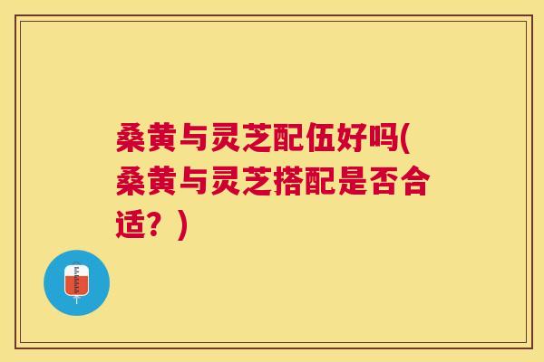 桑黄与灵芝配伍好吗(桑黄与灵芝搭配是否合适?) 桑黄与灵芝配伍好吗(桑黄与灵芝搭配是否合适?)