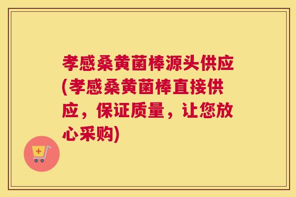孝感桑黄菌棒源头供应(孝感桑黄菌棒直接供应,保证质量,让您放心采购) 孝感桑黄菌棒源头供应(孝感桑黄菌棒直接供应,保证质量,让您放心采购)