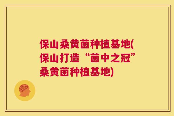 保山桑黄菌种植基地(保山打造“菌中之冠”桑黄菌种植基地) 保山桑黄菌种植基地(保山打造“菌中之冠”桑黄菌种植基地)