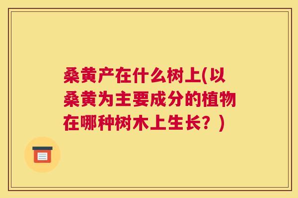 桑黄产在什么树上(以桑黄为主要成分的植物在哪种树木上生长?) 桑黄产在什么树上(以桑黄为主要成分的植物在哪种树木上生长?)