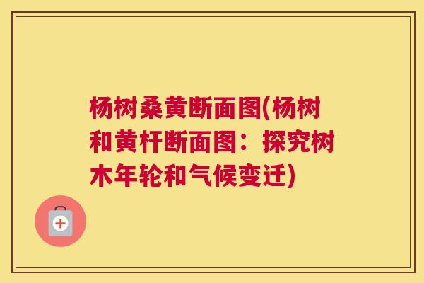 杨树桑黄断面图(杨树和黄杆断面图:探究树木年轮和气候变迁) 杨树桑黄断面图(杨树和黄杆断面图:探究树木年轮和气候变迁)