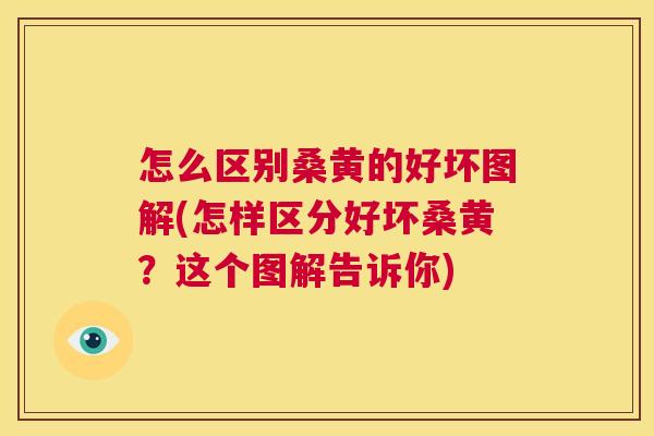 怎么区别桑黄的好坏图解(怎样区分好坏桑黄?这个图解告诉你) 怎么区别桑黄的好坏图解(怎样区分好坏桑黄?这个图解告诉你)