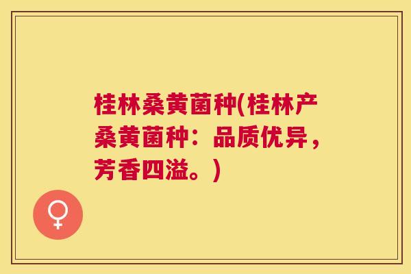 桂林桑黄菌种(桂林产桑黄菌种：品质优异，芳香四溢。)