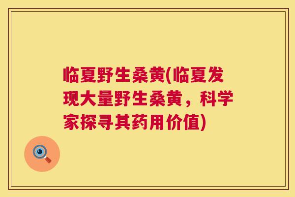 临夏野生桑黄(临夏发现大量野生桑黄,科学家探寻其药用价值) 临夏野生桑黄(临夏发现大量野生桑黄,科学家探寻其药用价值)