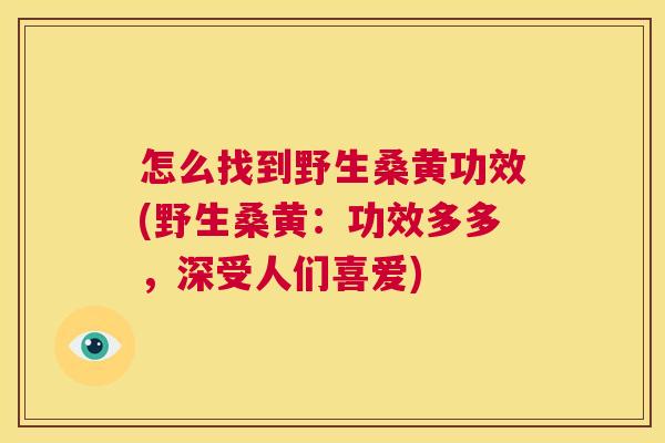 怎么找到野生桑黄功效(野生桑黄:功效多多,深受人们喜爱) 怎么找到野生桑黄功效(野生桑黄:功效多多,深受人们喜爱)