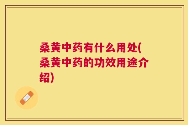 桑黄有什么用处(桑黄的功效用途介绍) 桑黄有什么用处(桑黄的功效用途介绍)