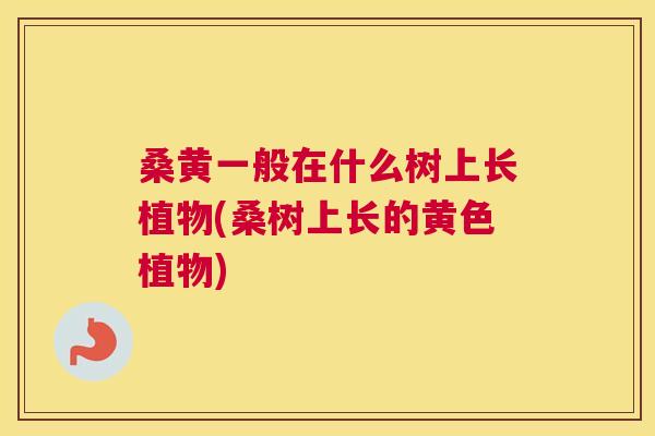 桑黄一般在什么树上长植物(桑树上长的黄色植物)