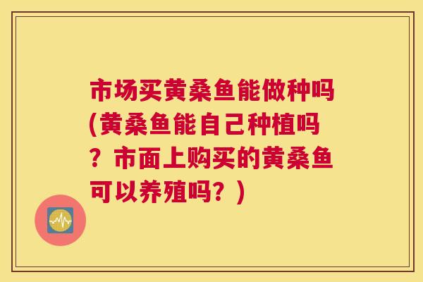 市场买黄桑鱼能做种吗(黄桑鱼能自己种植吗？市面上购买的黄桑鱼可以养殖吗？)