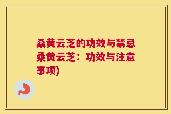 桑黄云芝的功效与禁忌桑黄云芝:功效与注意事项) 桑黄云芝的功效与禁忌桑黄云芝:功效与注意事项)