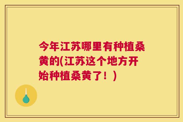 今年江苏哪里有种植桑黄的(江苏这个地方开始种植桑黄了!) 今年江苏哪里有种植桑黄的(江苏这个地方开始种植桑黄了!)