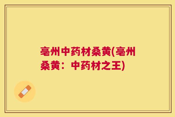 亳州材桑黄(亳州桑黄:材之王) 亳州材桑黄(亳州桑黄:材之王)