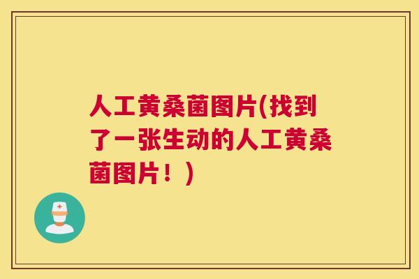 人工黄桑菌图片(找到了一张生动的人工黄桑菌图片!) 人工黄桑菌图片(找到了一张生动的人工黄桑菌图片!)