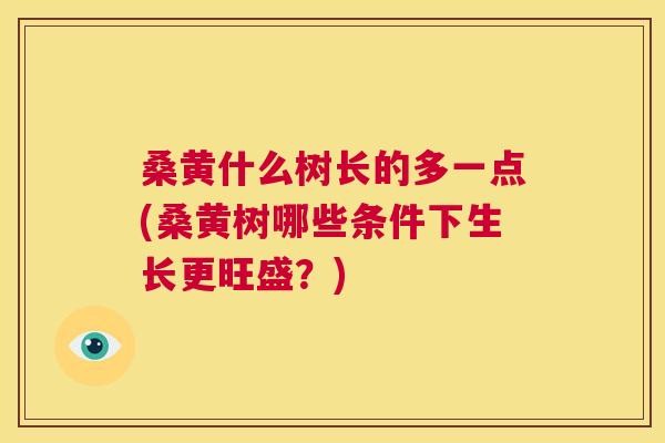 桑黄什么树长的多一点(桑黄树哪些条件下生长更旺盛?) 桑黄什么树长的多一点(桑黄树哪些条件下生长更旺盛?)