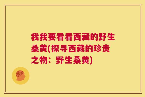 我我要看看西藏的野生桑黄(探寻西藏的珍贵之物:野生桑黄) 我我要看看西藏的野生桑黄(探寻西藏的珍贵之物:野生桑黄)