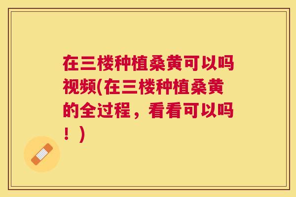 在三楼种植桑黄可以吗视频(在三楼种植桑黄的全过程,看看可以吗!) 在三楼种植桑黄可以吗视频(在三楼种植桑黄的全过程,看看可以吗!)