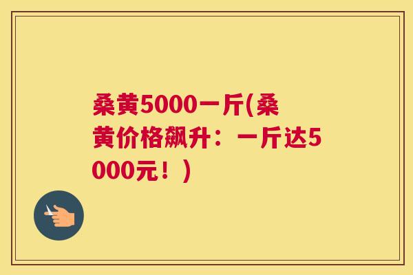 桑黄5000一斤(桑黄价格飙升：一斤达5000元！)
