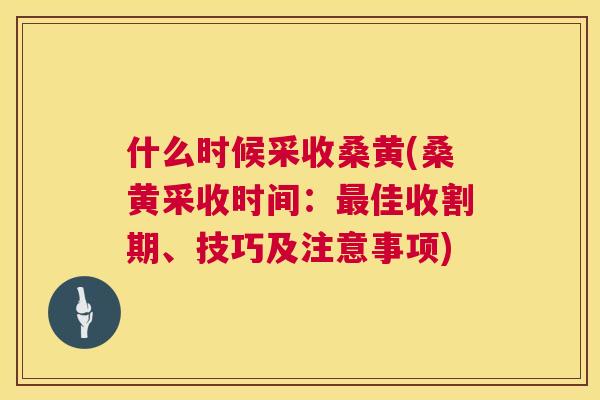 什么时候采收桑黄(桑黄采收时间:佳收割期、技巧及注意事项) 什么时候采收桑黄(桑黄采收时间:佳收割期、技巧及注意事项)