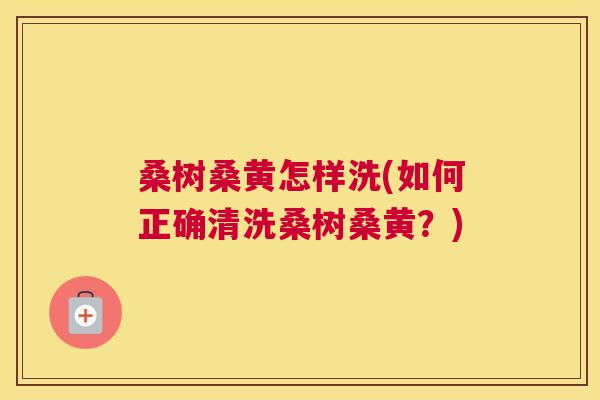 桑树桑黄怎样洗(如何正确清洗桑树桑黄?) 桑树桑黄怎样洗(如何正确清洗桑树桑黄?)
