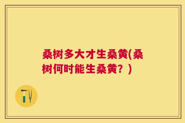 桑树多大才生桑黄(桑树何时能生桑黄?) 桑树多大才生桑黄(桑树何时能生桑黄?)