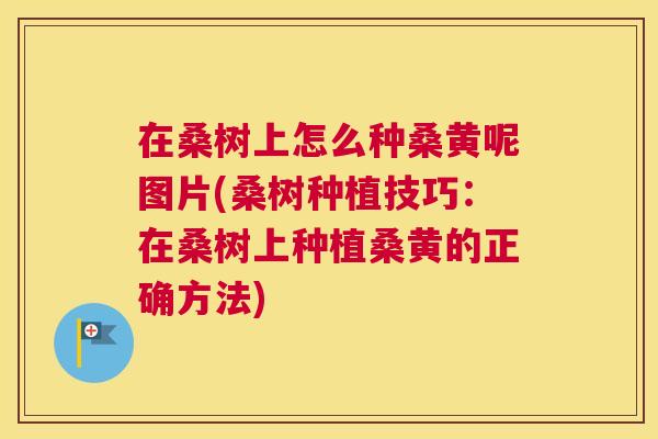 在桑树上怎么种桑黄呢图片(桑树种植技巧:在桑树上种植桑黄的正确方法) 在桑树上怎么种桑黄呢图片(桑树种植技巧:在桑树上种植桑黄的正确方法)