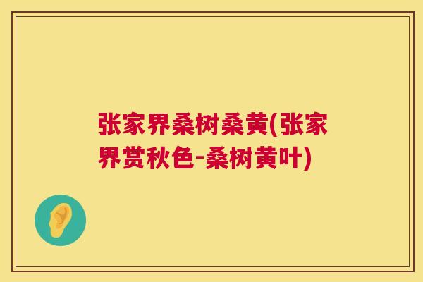 张家界桑树桑黄(张家界赏秋色-桑树黄叶)