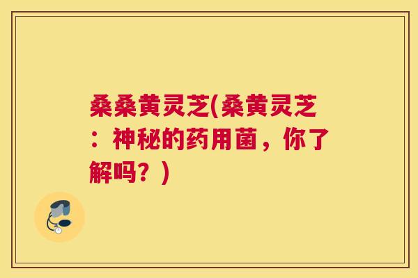 桑桑黄灵芝(桑黄灵芝:神秘的药用菌,你了解吗?) 桑桑黄灵芝(桑黄灵芝:神秘的药用菌,你了解吗?)