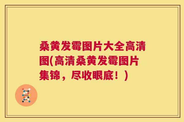 桑黄发霉图片大全高清图(高清桑黄发霉图片集锦,尽收眼底!) 桑黄发霉图片大全高清图(高清桑黄发霉图片集锦,尽收眼底!)