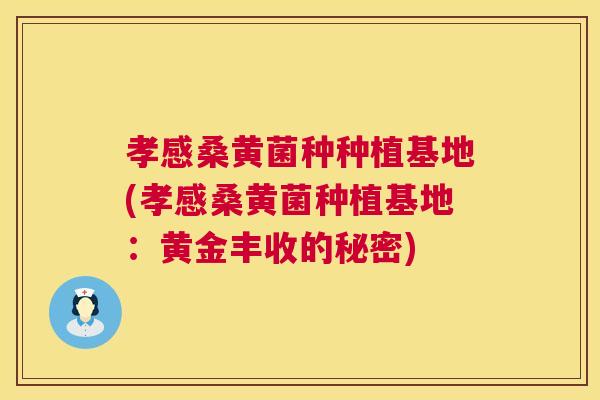 孝感桑黄菌种种植基地(孝感桑黄菌种植基地:黄金丰收的秘密) 孝感桑黄菌种种植基地(孝感桑黄菌种植基地:黄金丰收的秘密)