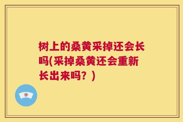树上的桑黄采掉还会长吗(采掉桑黄还会重新长出来吗？)