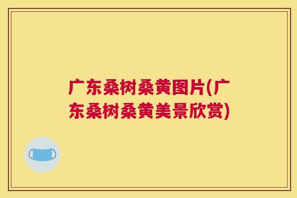广东桑树桑黄图片(广东桑树桑黄美景欣赏) 广东桑树桑黄图片(广东桑树桑黄美景欣赏)