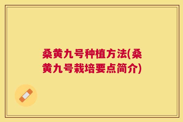 桑黄九号种植方法(桑黄九号栽培要点简介) 桑黄九号种植方法(桑黄九号栽培要点简介)