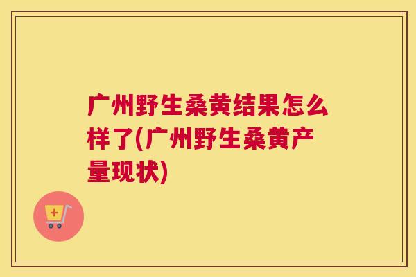 广州野生桑黄结果怎么样了(广州野生桑黄产量现状) 广州野生桑黄结果怎么样了(广州野生桑黄产量现状)