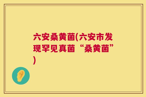 六安桑黄菌(六安市发现罕见真菌“桑黄菌”) 六安桑黄菌(六安市发现罕见真菌“桑黄菌”)