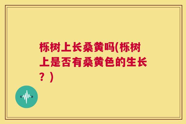 栎树上长桑黄吗(栎树上是否有桑黄色的生长?) 栎树上长桑黄吗(栎树上是否有桑黄色的生长?)