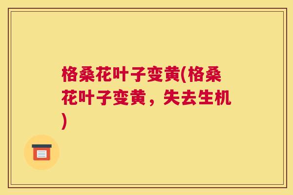 格桑花叶子变黄(格桑花叶子变黄,失去生机) 格桑花叶子变黄(格桑花叶子变黄,失去生机)